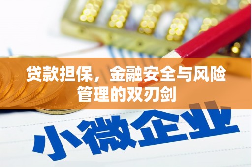 如皋贷款担保，金融安全与风险管理的双刃剑