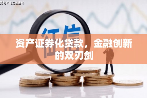 如皋资产证券化贷款，金融创新的双刃剑