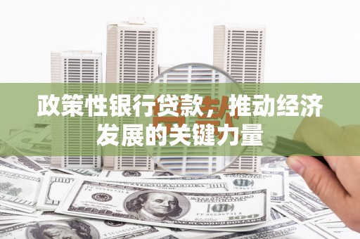 如皋政策性银行贷款，推动经济发展的关键力量