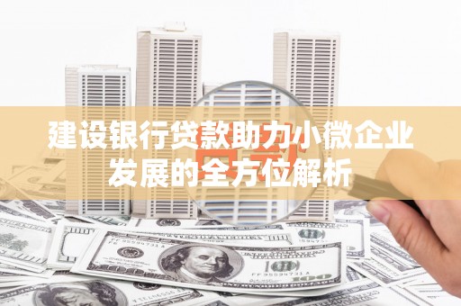 如皋建设银行贷款助力小微企业发展的全方位解析