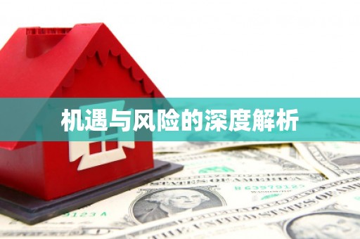 如皋机遇与风险的深度解析