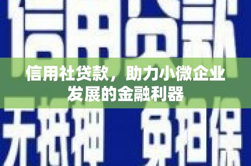 如皋信用社贷款，助力小微企业发展的金融利器