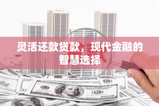 如皋灵活还款贷款，现代金融的智慧选择