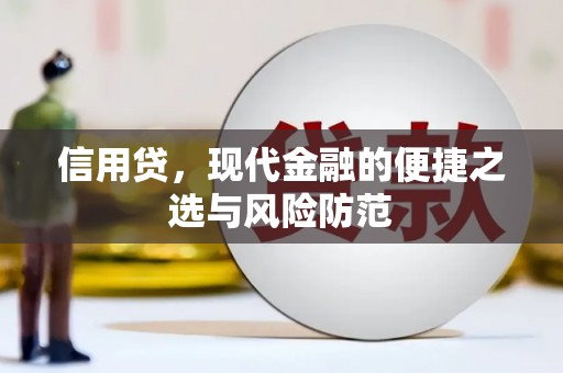 如皋信用贷，现代金融的便捷之选与风险防范