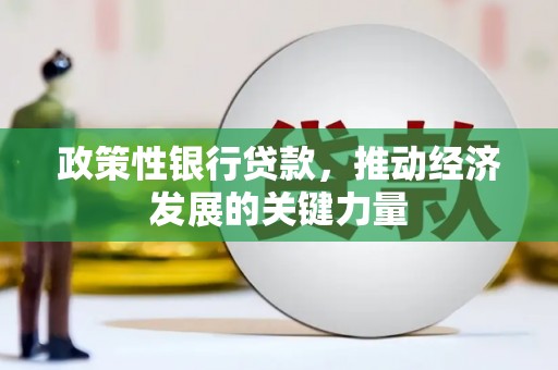 如皋政策性银行贷款，推动经济发展的关键力量