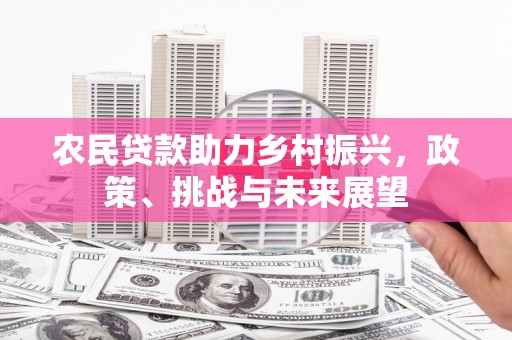 如皋农民贷款助力乡村振兴，政策、挑战与未来展望