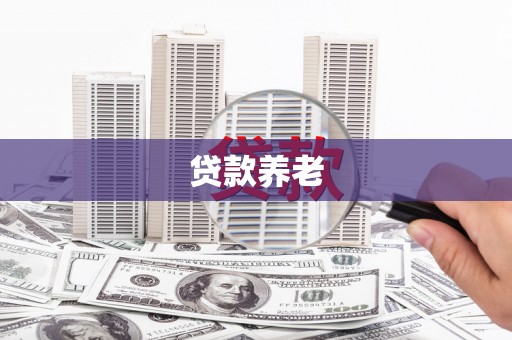 如皋贷款养老