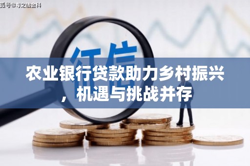 如皋农业银行贷款助力乡村振兴，机遇与挑战并存