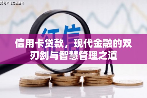 如皋信用卡贷款，现代金融的双刃剑与智慧管理之道