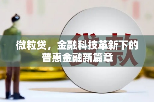 如皋微粒贷，金融科技革新下的普惠金融新篇章
