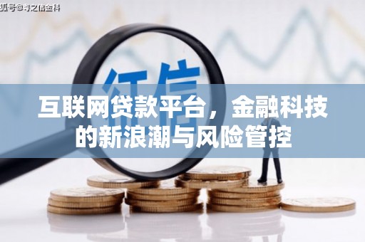 如皋互联网贷款平台，金融科技的新浪潮与风险管控