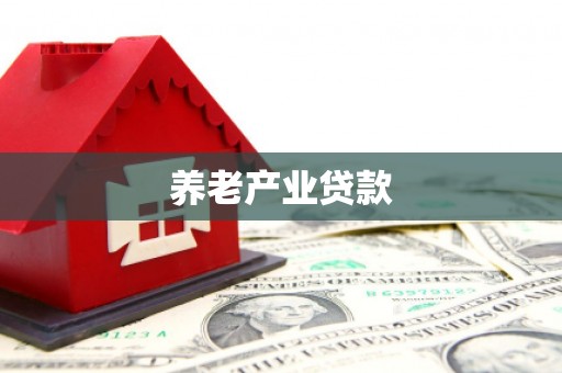 如皋养老产业贷款