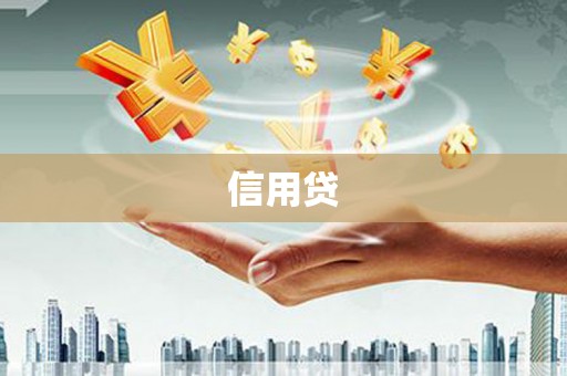如皋信用贷