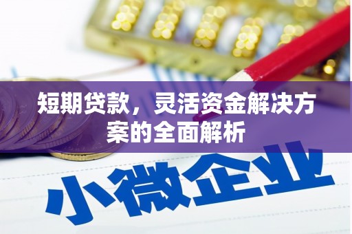 如皋短期贷款，灵活资金解决方案的全面解析