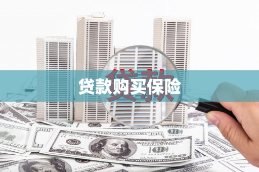 如皋贷款购买保险