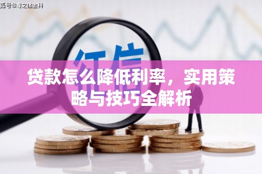 如皋贷款怎么降低利率，实用策略与技巧全解析