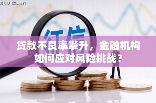 如皋贷款不良率攀升，金融机构如何应对风险挑战？