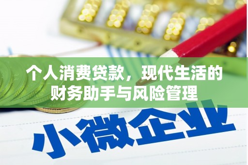 如皋个人消费贷款，现代生活的财务助手与风险管理