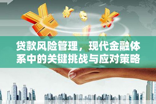 如皋贷款风险管理，现代金融体系中的关键挑战与应对策略