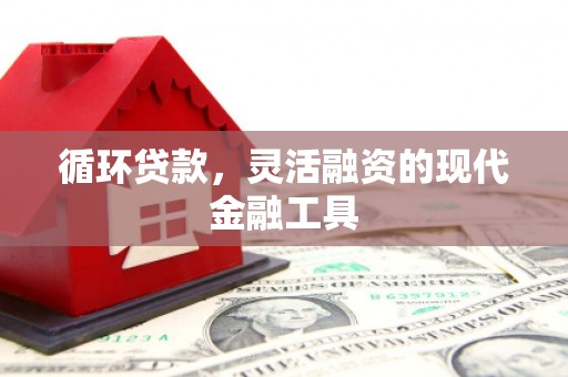 如皋循环贷款，灵活融资的现代金融工具