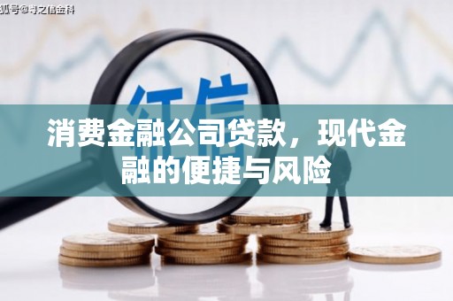 如皋消费金融公司贷款，现代金融的便捷与风险