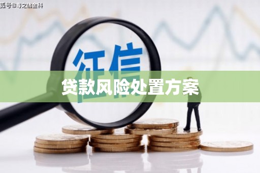 如皋贷款风险处置方案