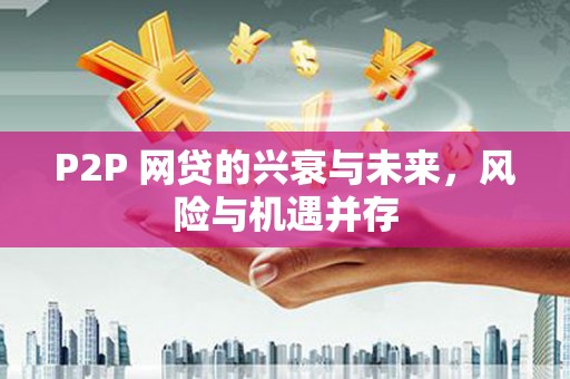如皋P2P 网贷的兴衰与未来，风险与机遇并存