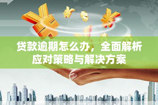 如皋贷款逾期怎么办，全面解析应对策略与解决方案