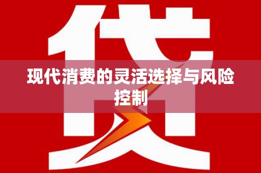 如皋现代消费的灵活选择与风险控制